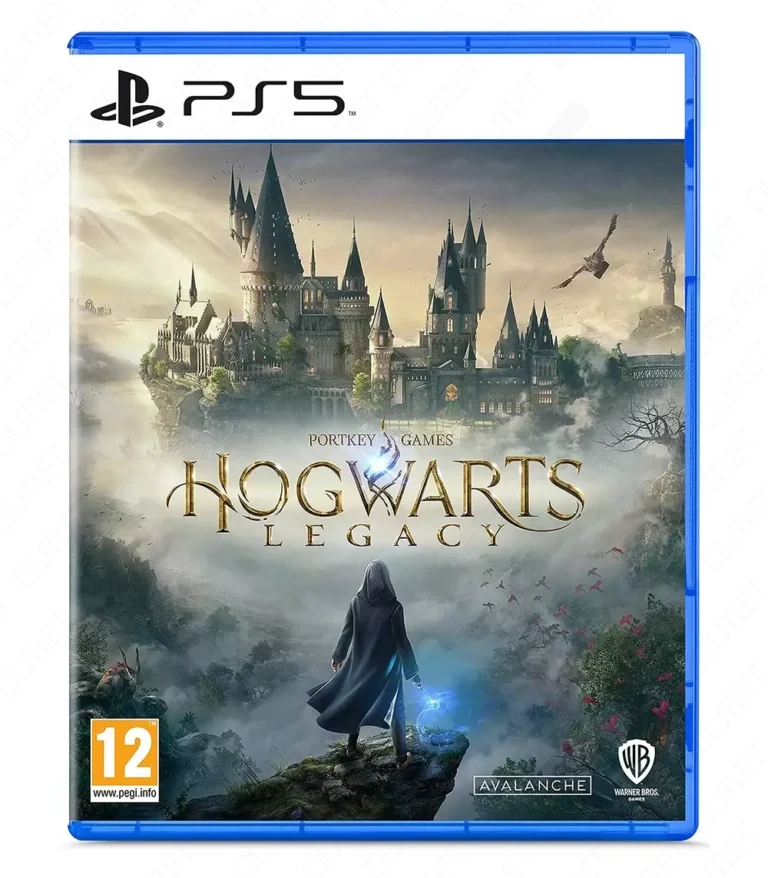 Hogwarts Legacy Standard Edition PlayStation 5® Disc