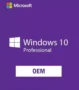 Microsoft Windows 10 Professional OEM License Key GLOBAL