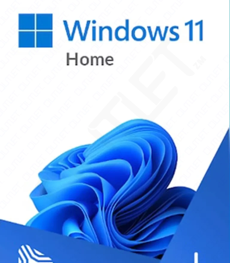 Microsoft Windows 11 Home Standard License Key GLOBAL