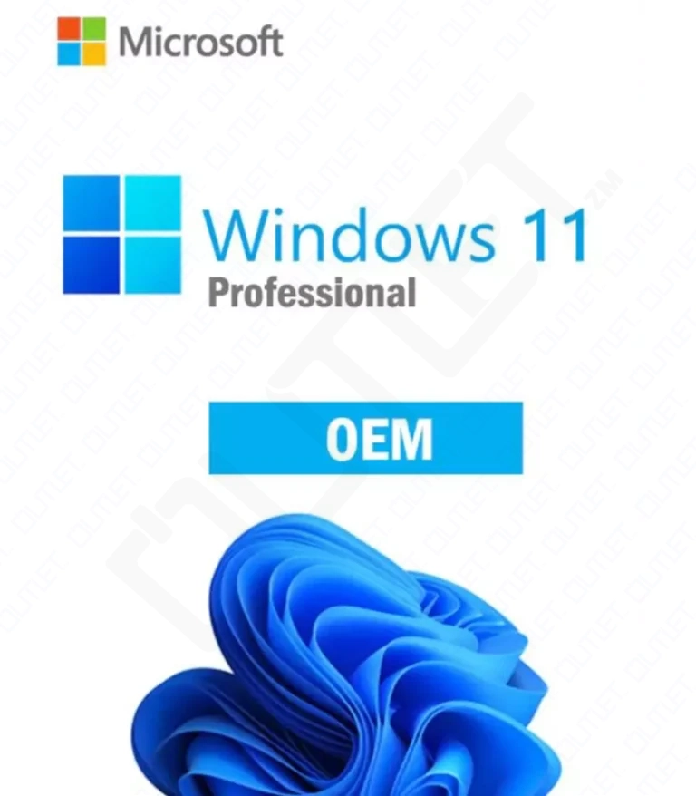 Microsoft Windows 11 OEM Professional Key GLOBAL