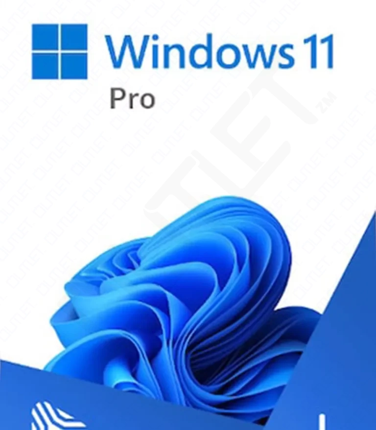 Microsoft Windows 11 Professional Standard License Key GLOBAL