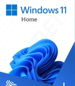 Microsoft Windows 11 Home Standard License Key GLOBAL