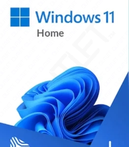 Microsoft Windows 11 Home Standard License Key GLOBAL