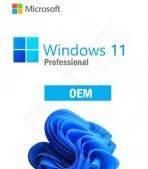 Microsoft Windows 11 OEM Professional Key GLOBAL